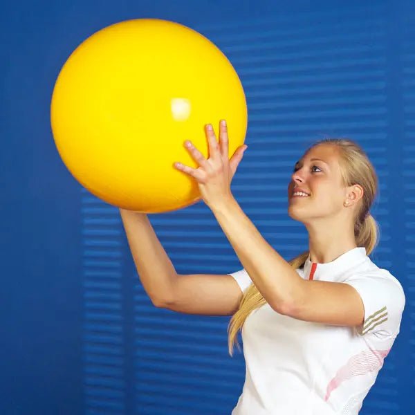 Sitzball - Servoprax